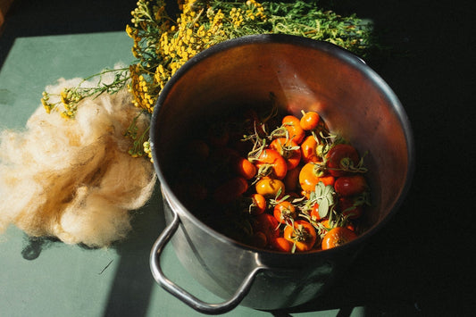 Medicinal Bedding: How Plant-Based Medicine in Textiles Can Shape Regenerative Hospitality